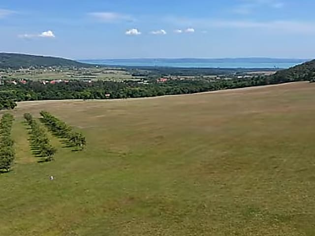 Balaton-felvidéki birtok, saját erdei forrással eladó #4